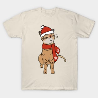 Winter Kitty Cat Wearing Red Hat and Scarf T-Shirt